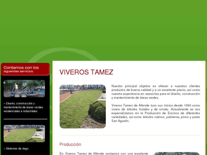 www.viverostamez.com