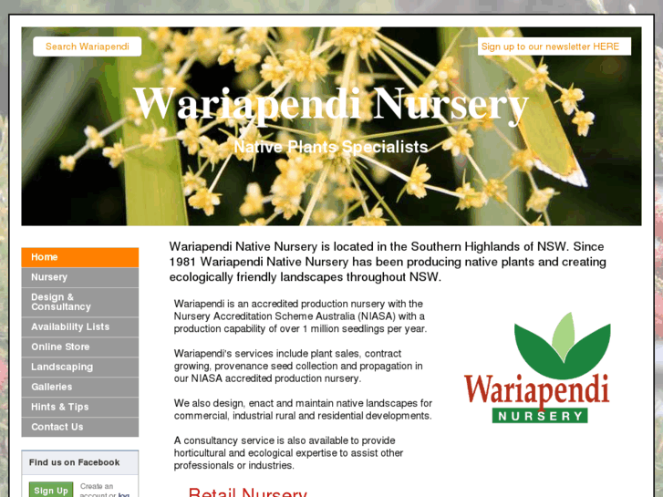 www.wariapendi.com.au