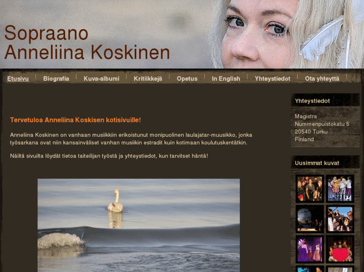 www.anneliinakoskinen.com