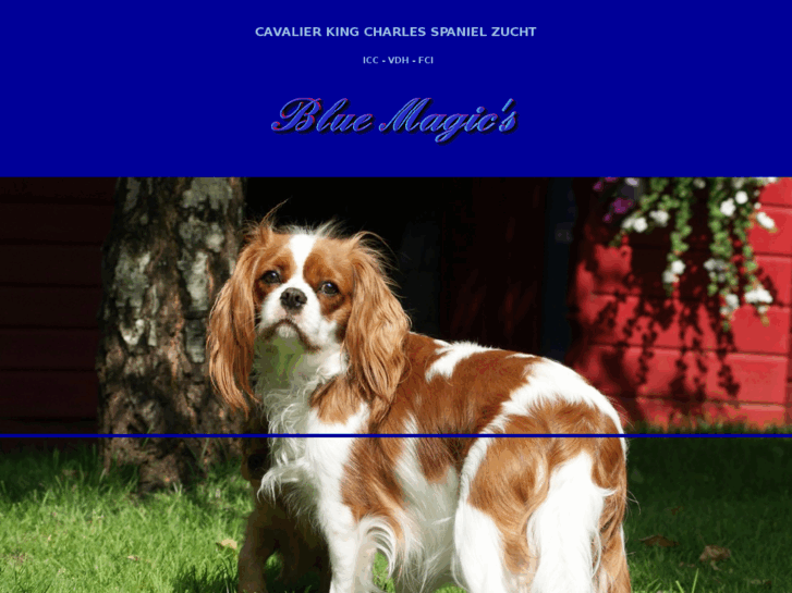 www.bluemagics.com