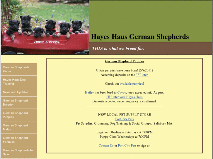 www.hayeshausgermanshepherds.com