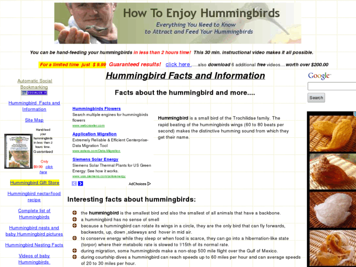 www.howtoenjoyhummingbirds.com