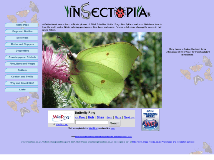 www.insectopia.co.uk