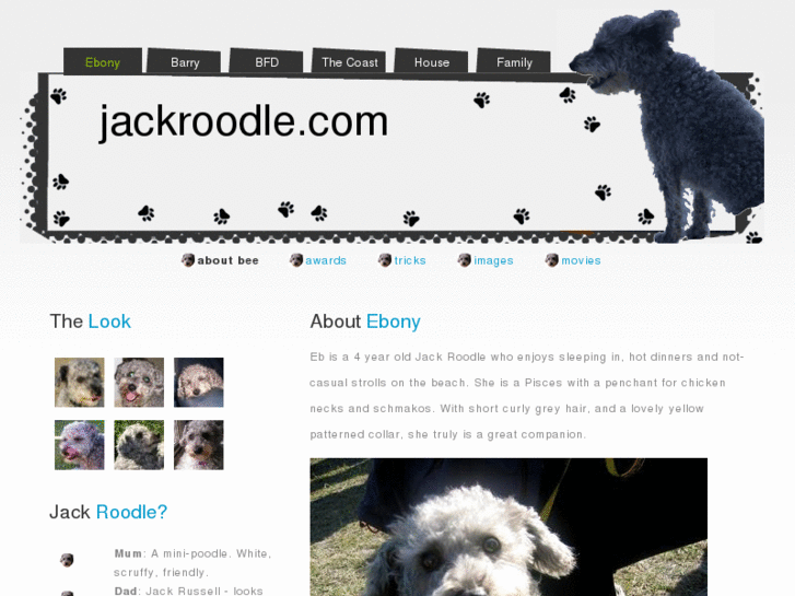 www.jackroodle.com