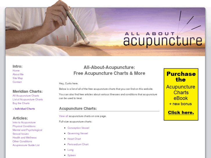 www.all-about-acupuncture.com