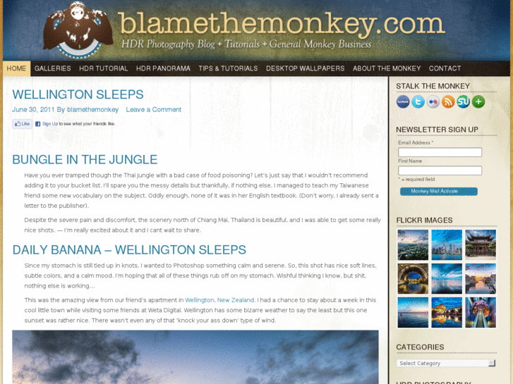 www.blamethemonkey.com