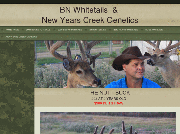 www.bnwhitetails.com