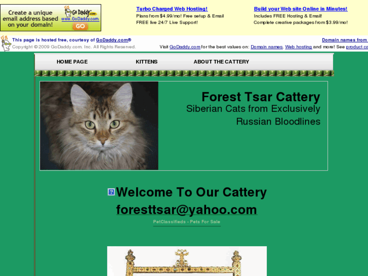 www.foresttsarcattery.com