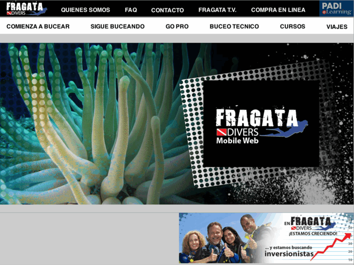 www.fragatadivers.com