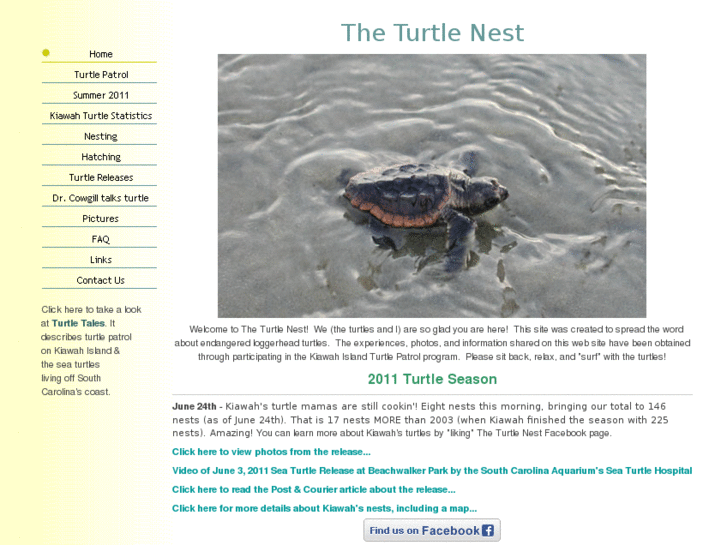 www.kiawahturtles.com