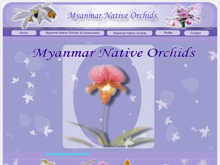 www.myanmarorchid.com