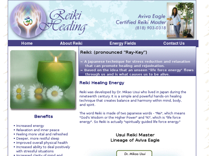 www.reikihealing4u.com