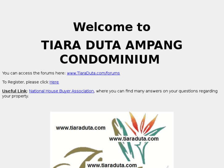 www.tiaraduta.com