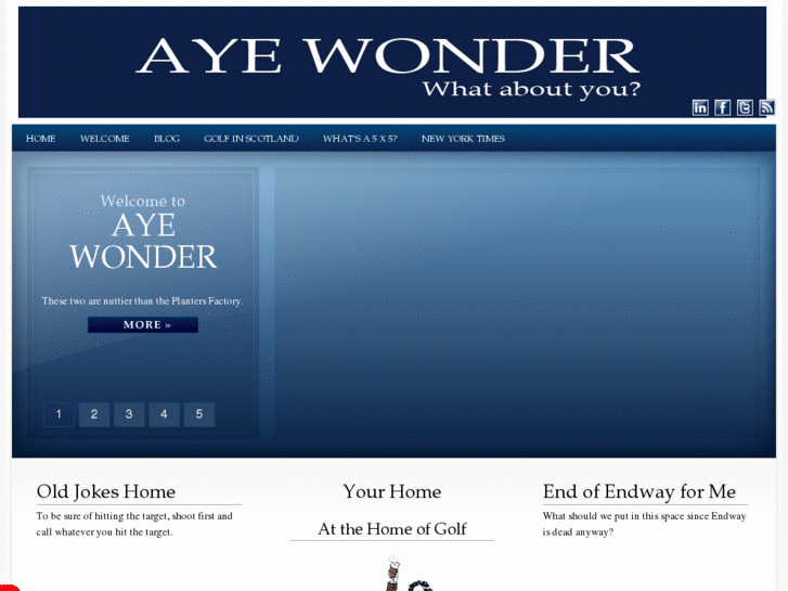 www.ayewonder.com