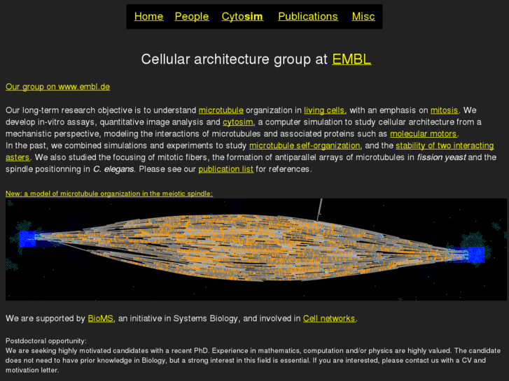 www.cytosim.com