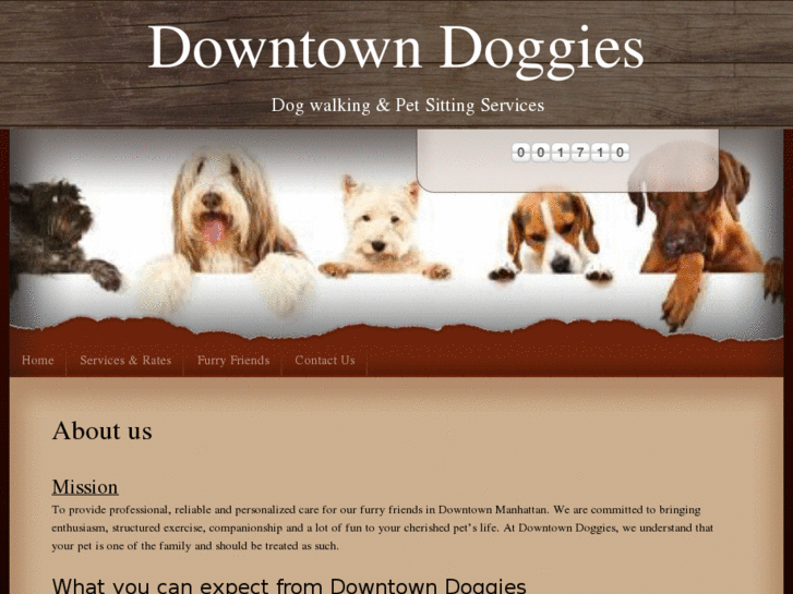 www.downtowndoggies.com