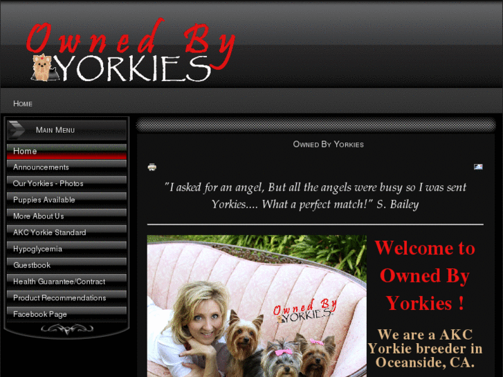 www.ownedbyyorkies.com