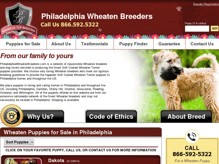 www.philadelphiawheatenbreeders.com