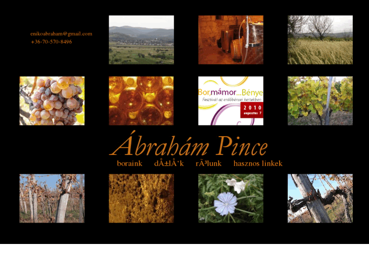 www.abrahampince.com