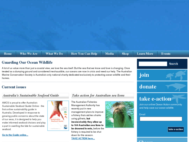 www.amcs.org.au