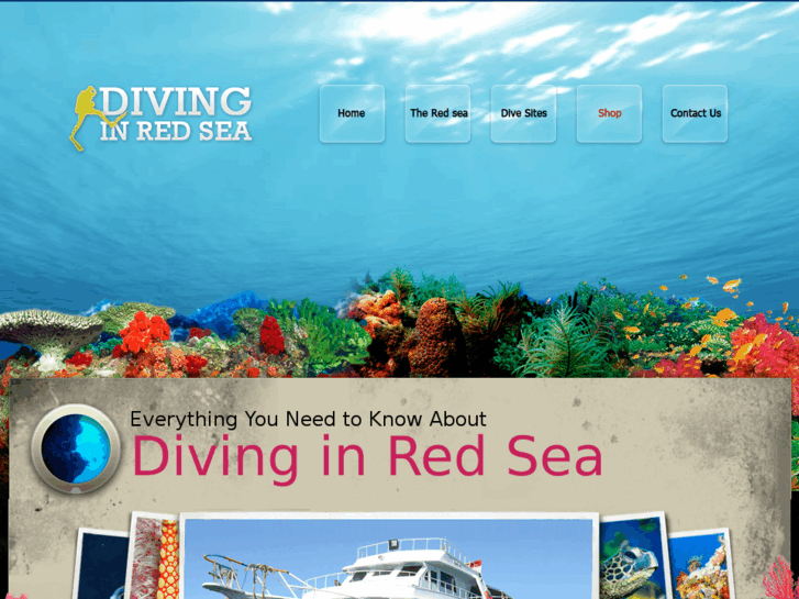 www.divinginredsea.com