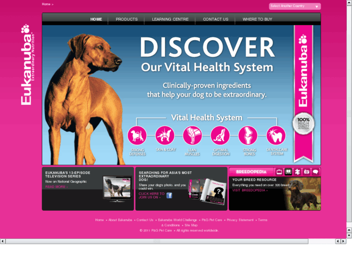 www.eukanuba.co.in