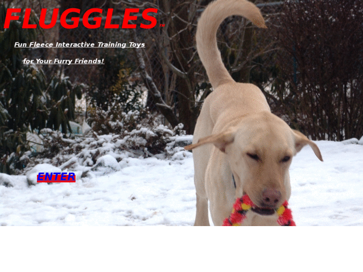 www.fluggles.com