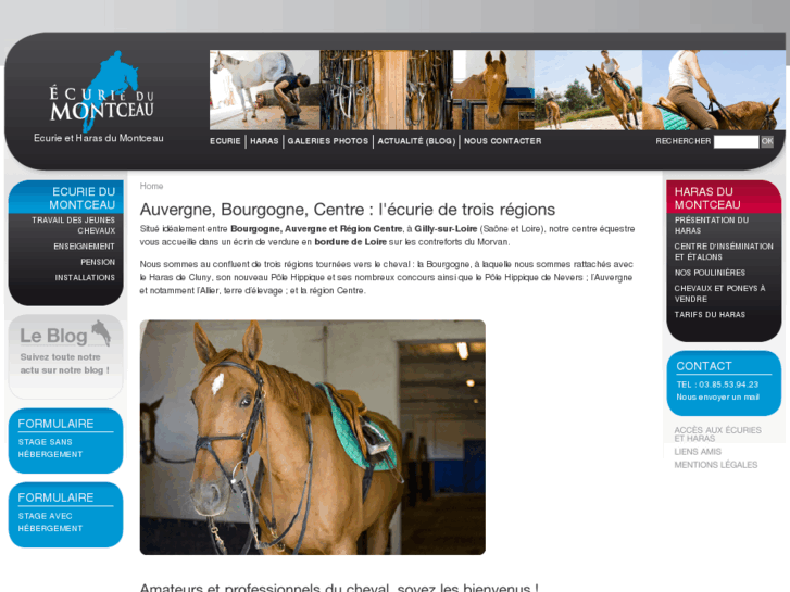 www.haras-du-montceau.com