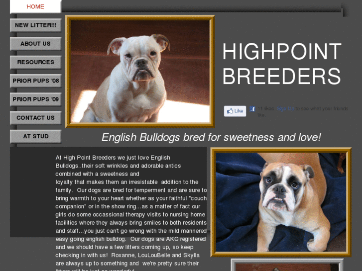 www.highpointbreeders.com