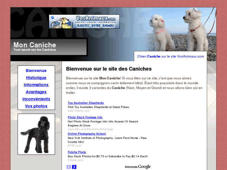 www.moncaniche.com