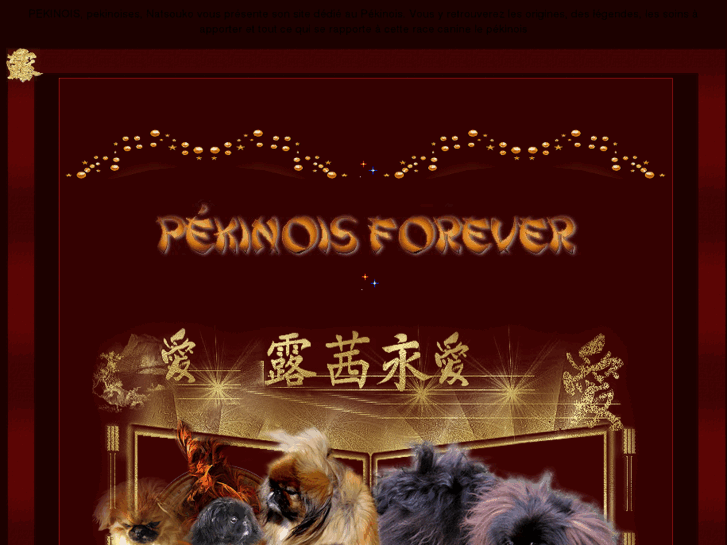 www.pekinois-forever.com