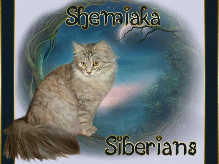 www.shemiakasiberians.com