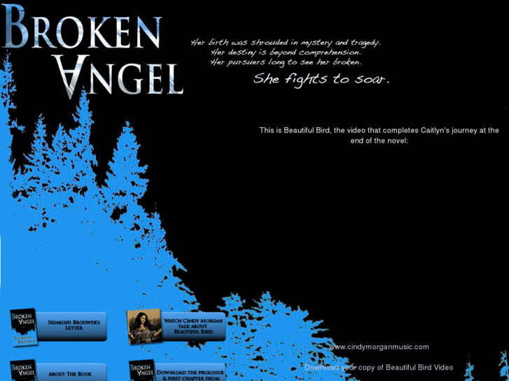 www.brokenangelsong.com