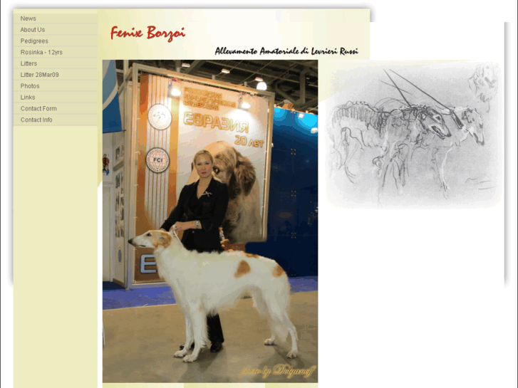 www.fenix-borzoi.com