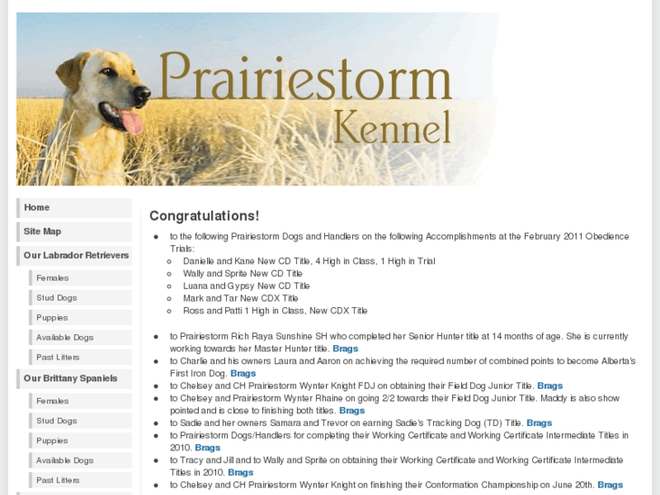 www.prairiestorm.ca