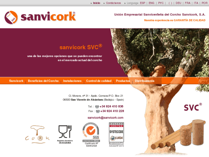 www.sanvicork.com