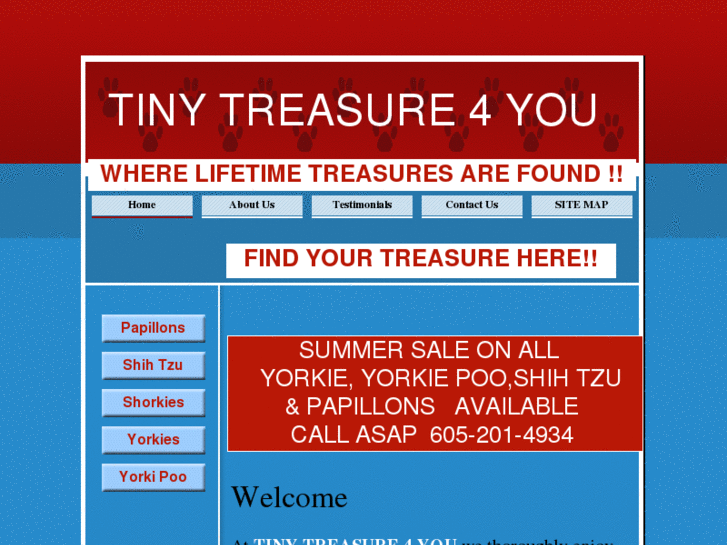 www.tinytreasure4you.com