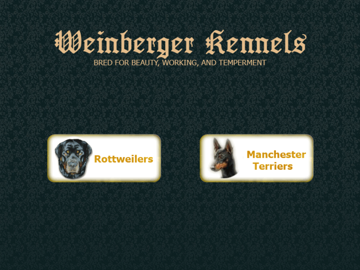 www.weinbergermanchesterterrier.com