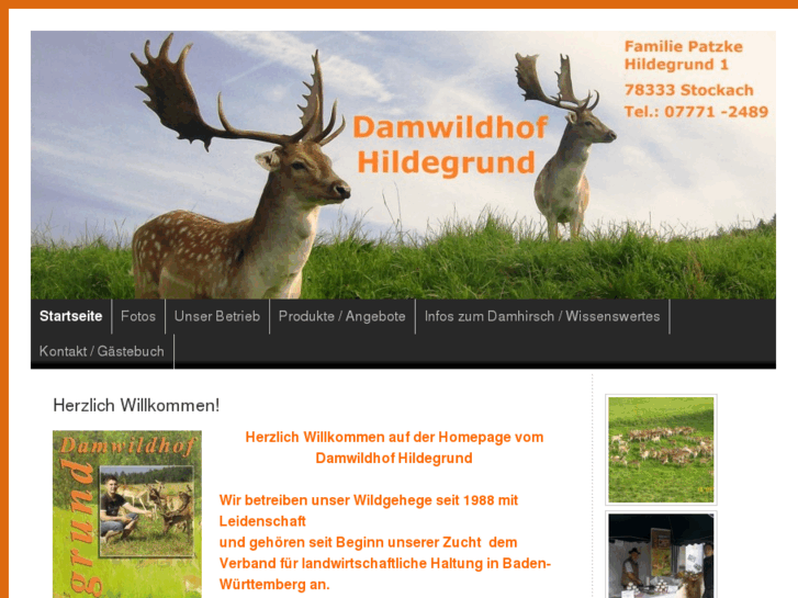 www.damwildhof-hildegrund.com