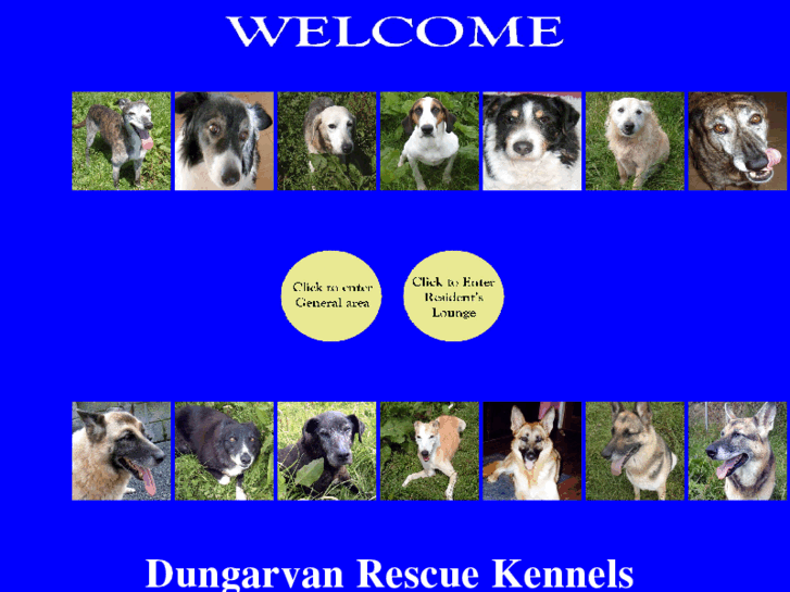 www.dungarvanrescue.org