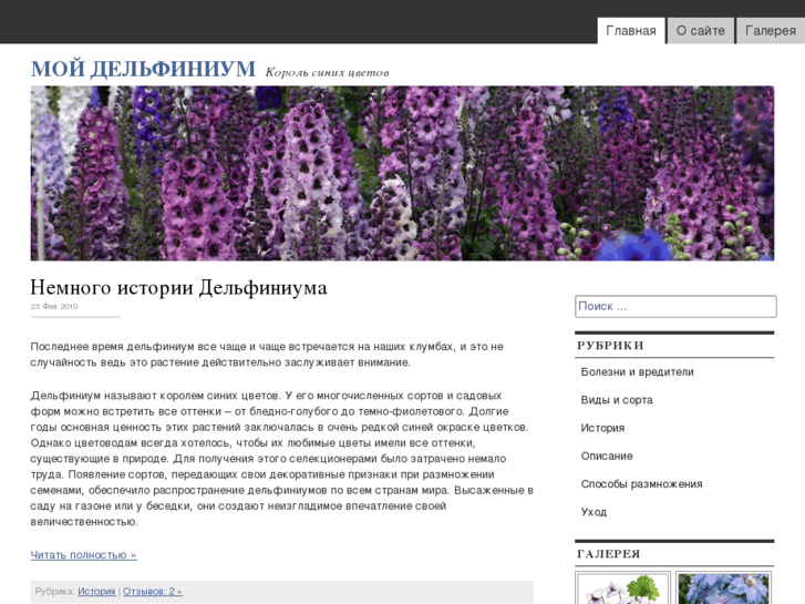 www.mydelphinium.com