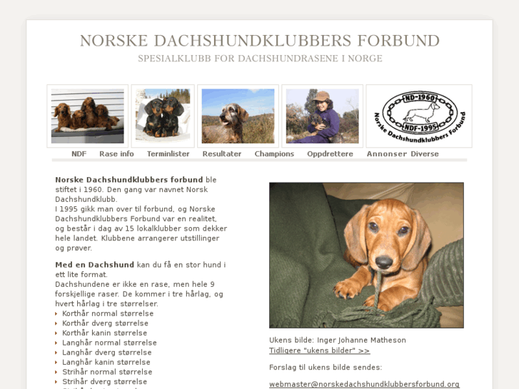 www.norskedachshundklubbersforbund.org