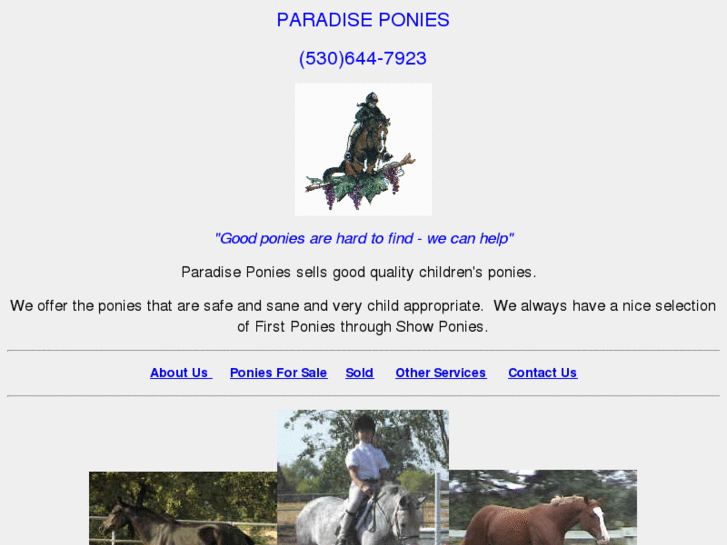 www.paradiseponies.com