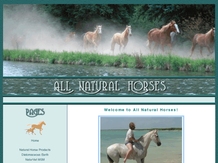 www.allnaturalhorses.com