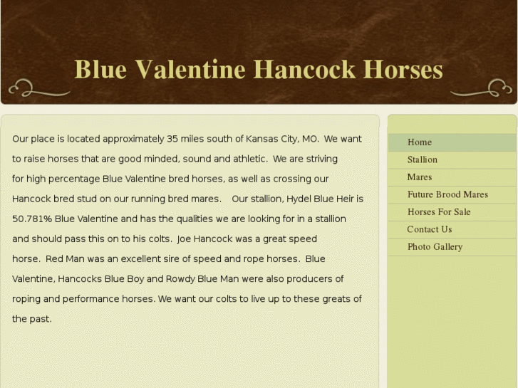 www.bluevalentinehorses.net