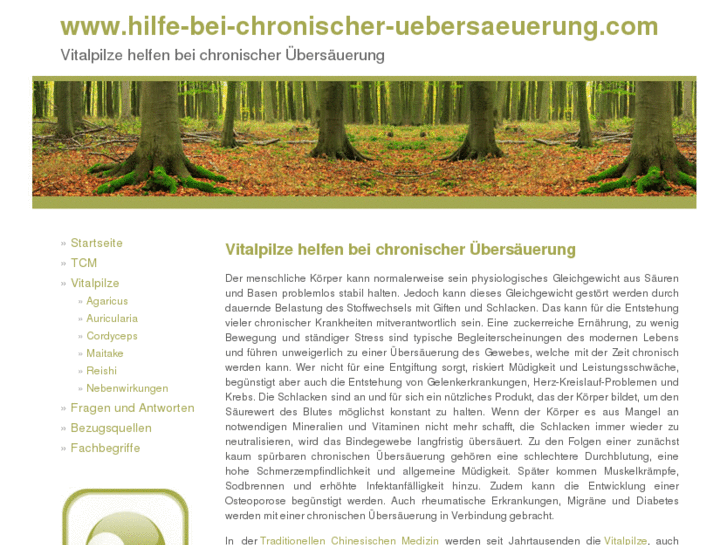 www.hilfe-bei-chronischer-uebersaeuerung.com