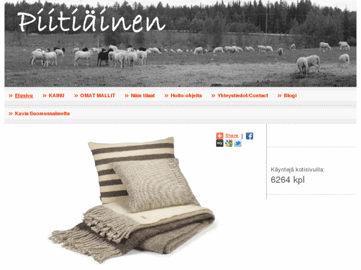 www.piitiainen.com