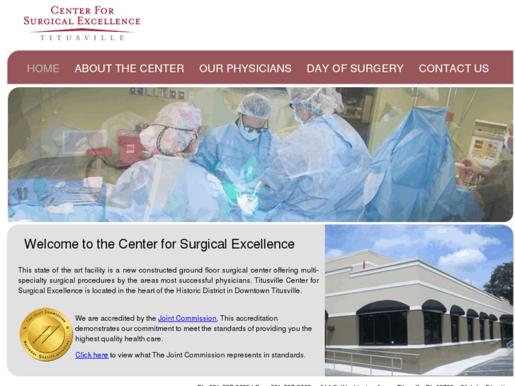 www.titusvillesurgicalexcellence.com