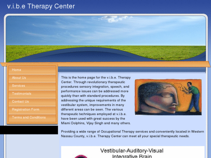 www.vibetherapycenter.com