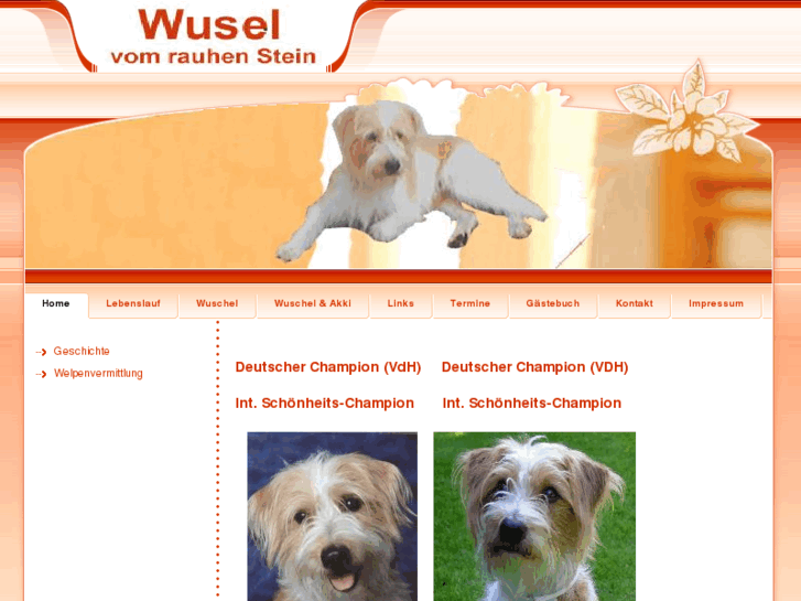 www.wusel-vom-rauhen-stein.de